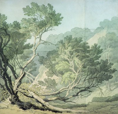 Pohled poblíž Fordlands, Exeter od John White Abbott